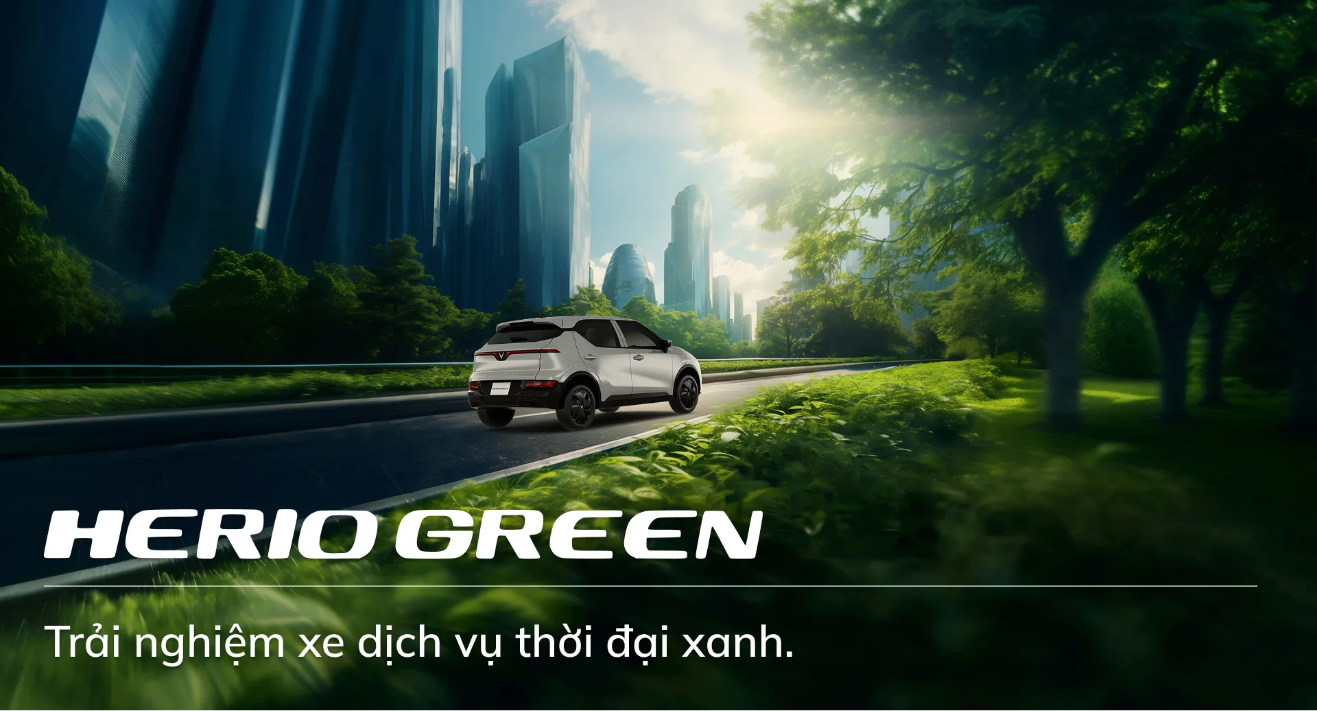 Ảnh 3 Herio Green